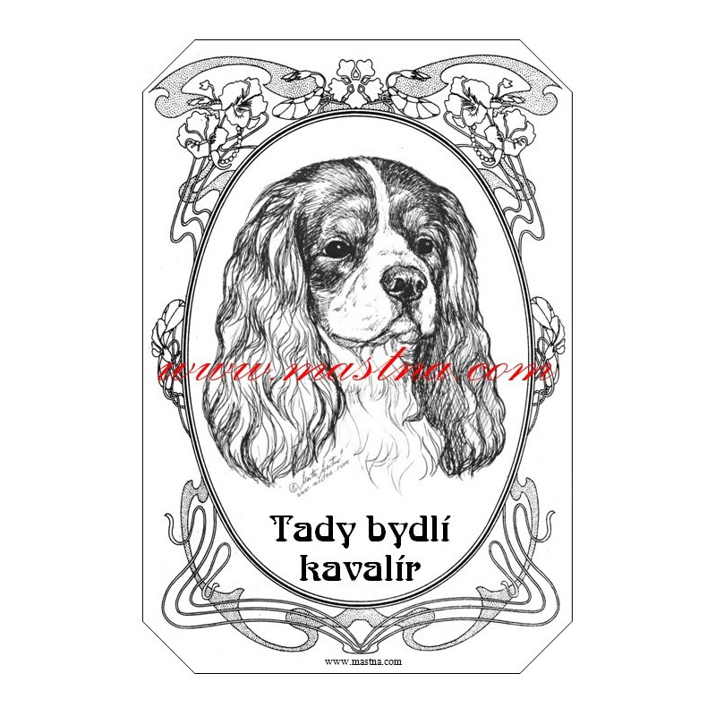 Tabulka kavalír Charles španěl