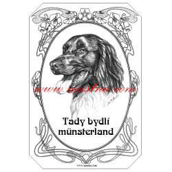 Tabulka münsterlandský ohař