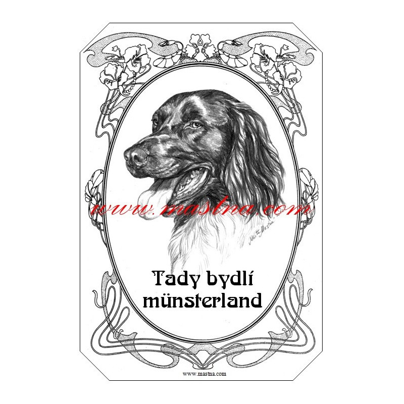 Tabulka münsterlandský ohař