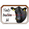 Cedulka kráva angus, skot