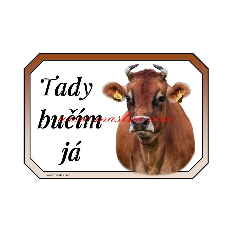 Cedulka kráva jersey, skot