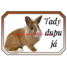 Cedulka králík lvíček