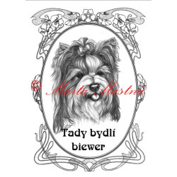 Tabulka biewer, jorkšír teriér