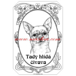 Cedulka čivava krátkosrstá, chihuahua