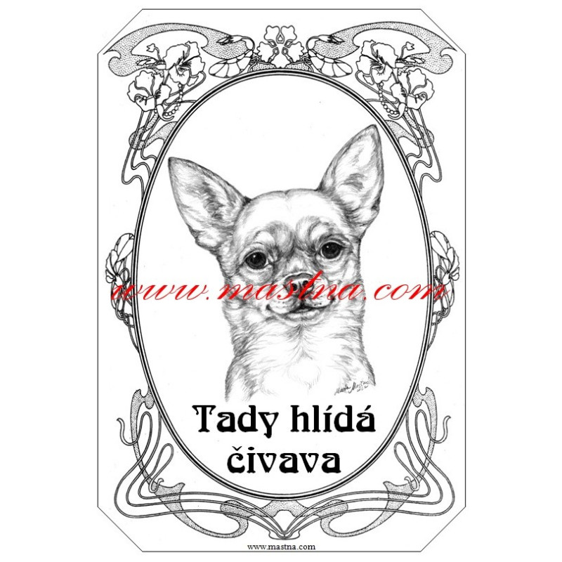 Cedulka čivava krátkosrstá, chihuahua