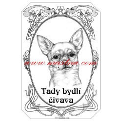 Cedulka čivava krátkosrstá, chihuahua