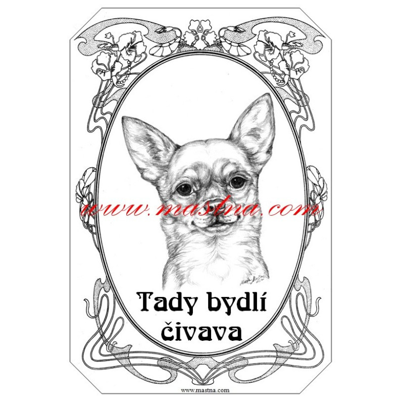Cedulka čivava krátkosrstá, chihuahua