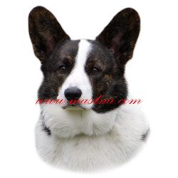 Samolepka čivava, chihuahua