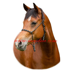 Samolepka shagya arab, kůň, koně