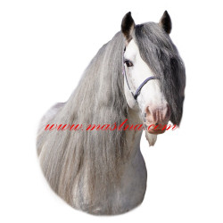 Samolepka irský cob, tinker, kůň, koně