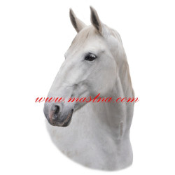 Samolepka kladrubský, kůň, koně, kladrubák