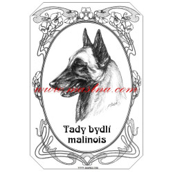 Tabulka belgický ovčák malinois