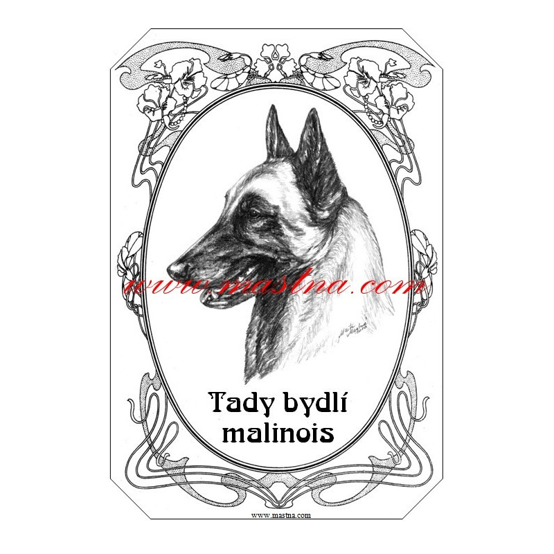 Tabulka belgický ovčák malinois