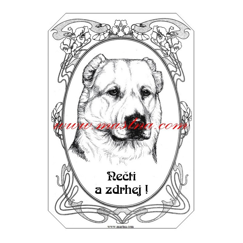 Tabulka asiat, středoasijský pastevecký pes