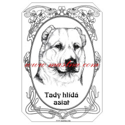 Tabulka asiat, středoasijský pastevecký pes