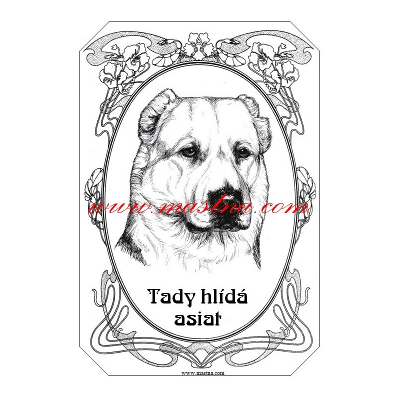 Tabulka asiat, středoasijský pastevecký pes