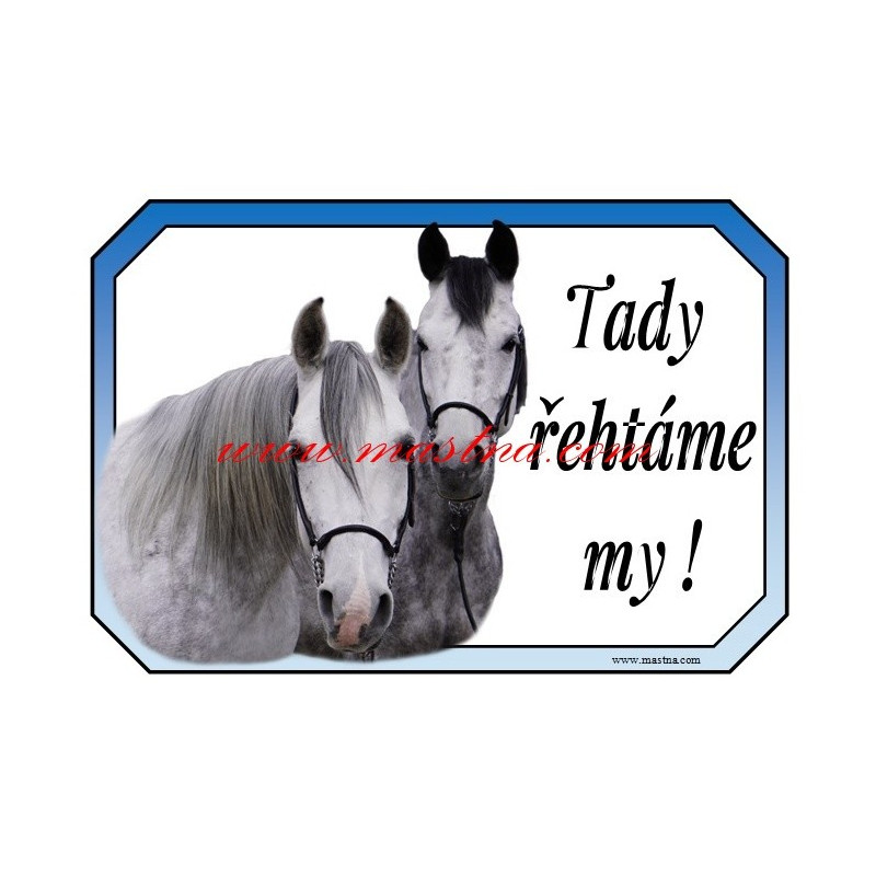 Cedulka shagya arab, kůň, koně