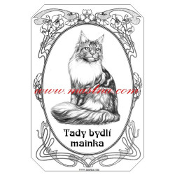 Tabulka kočka mainská mývalí