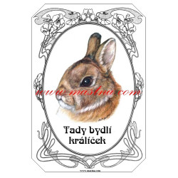 Cedulka králík zakrslý