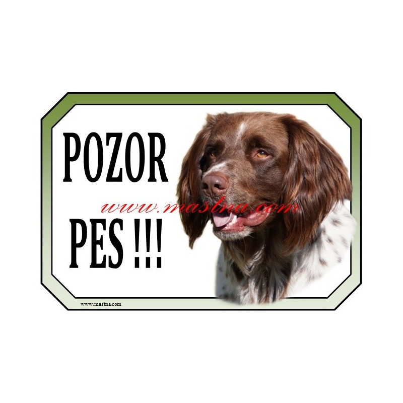 Cedulka ohař dlouhosrstý, muensterland