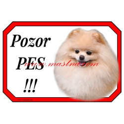 Cedulka pomeranian, špic