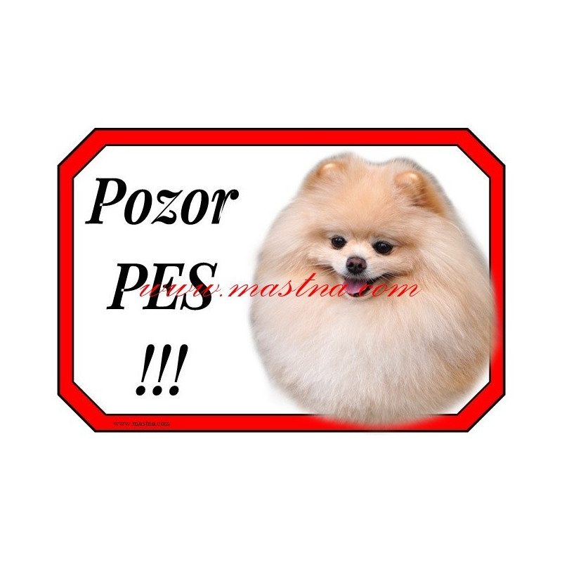 Cedulka pomeranian, špic