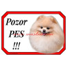 Cedulka pomeranian, špic