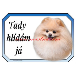 Cedulka pomeranian, špic