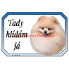 Cedulka pomeranian, špic