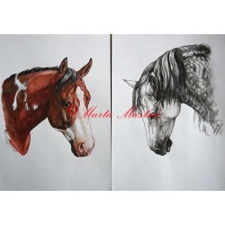 Akvarel koně, paint