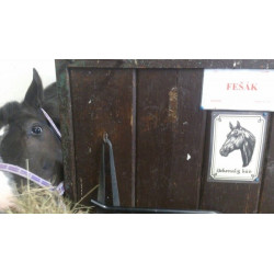 Tabulka koně teplokrevník