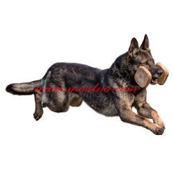 Samolepka německý ovčák výcvik, pracovní