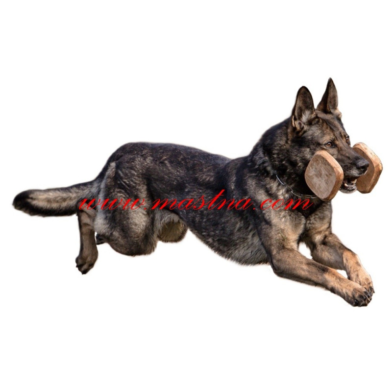 Samolepka německý ovčák výcvik, pracovní