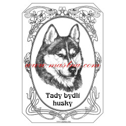 Tabulka sibiřský husky