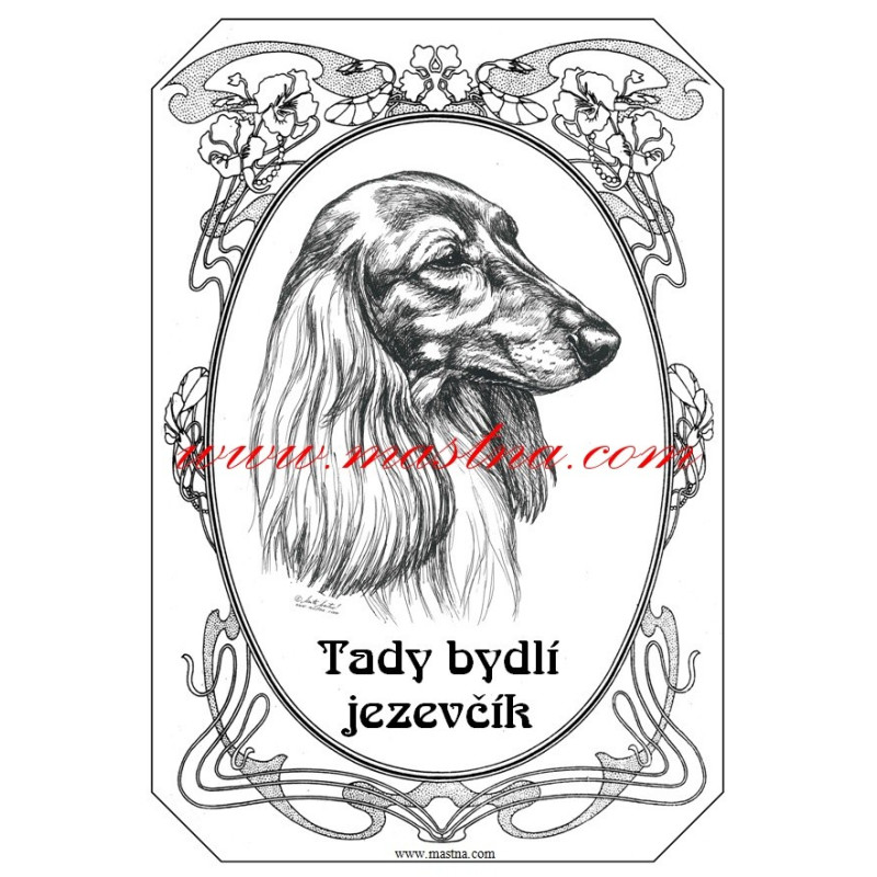 Tabulka jezevčík dlouhosrstý