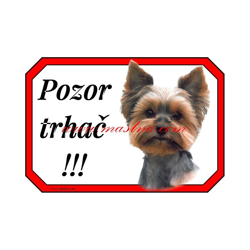 Cedulka jork, yorkshire terier