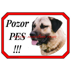 Cedulka anatol, kangal, pastevecký pes