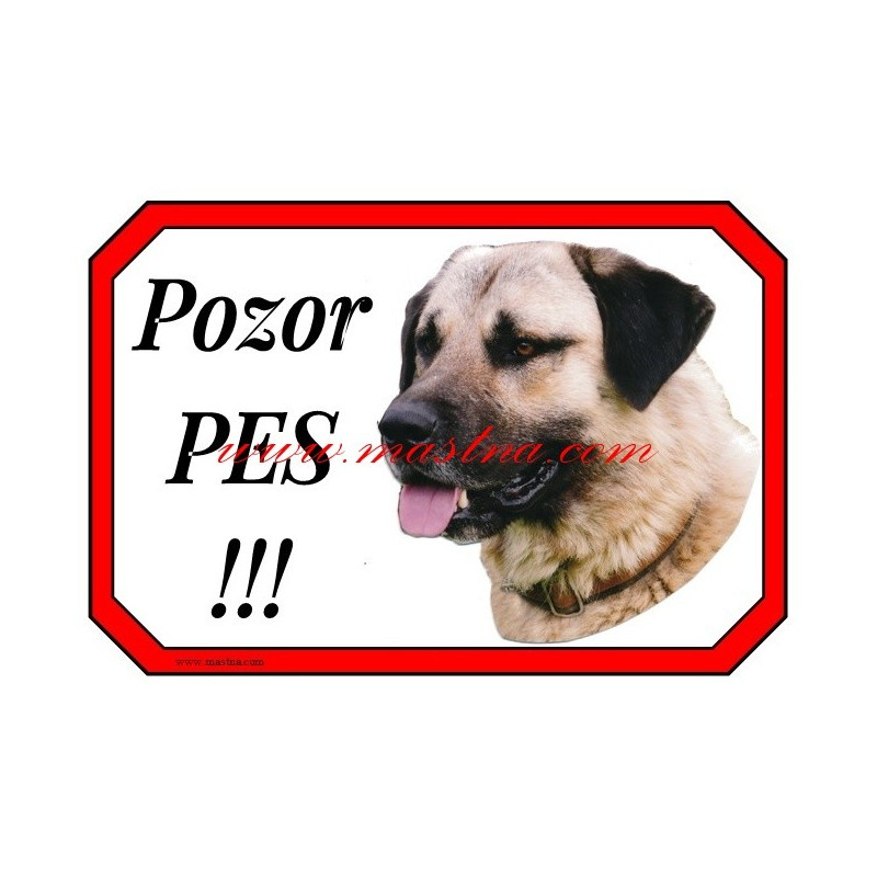 Cedulka anatol, kangal, pastevecký pes