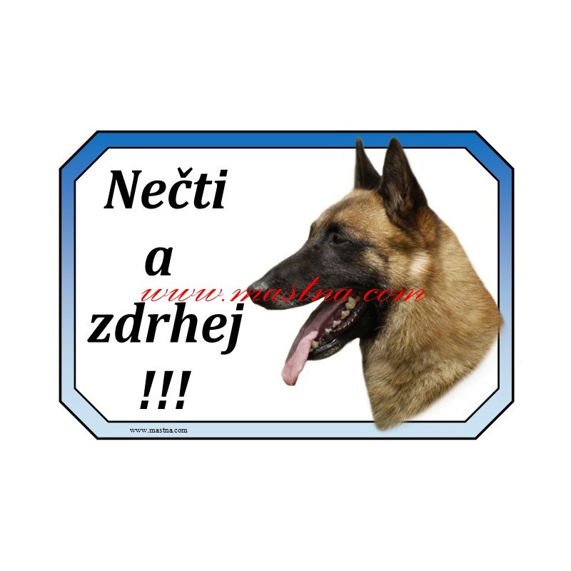 Cedulka belgický ovčák malinois