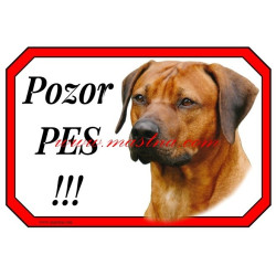 Cedulka ridžbek, rhodéský ridgeback