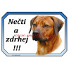 Cedulka ridžbek, rhodéský ridgeback