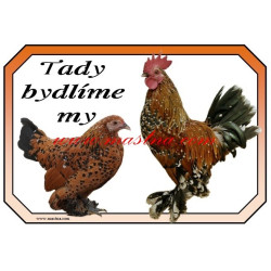 Cedulka drůbež slepice, kohout, zakrslá rousná