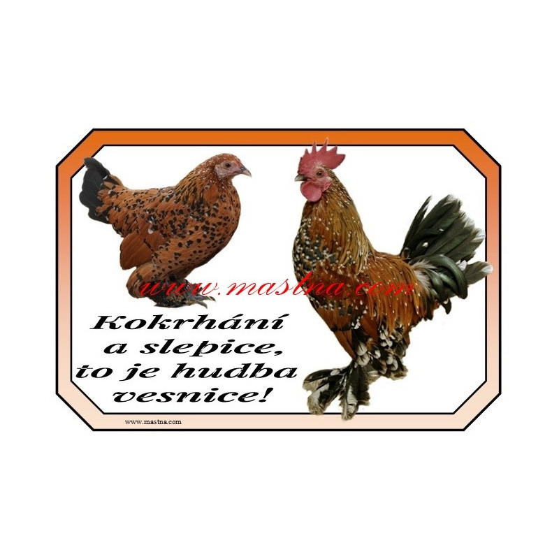 Cedulka drůbež slepice, kohout, zakrslá rousná