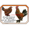 Cedulka drůbež slepice, kohout, zakrslá rousná
