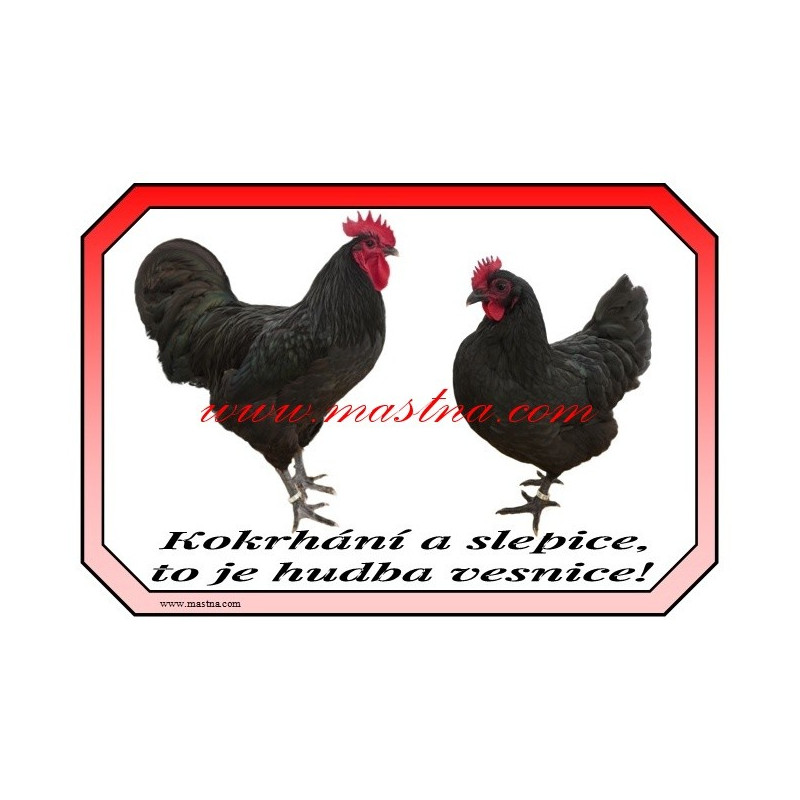 Cedulka drůbež slepice, kohout, australka