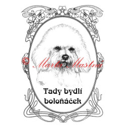 Tabulka boloňský psík