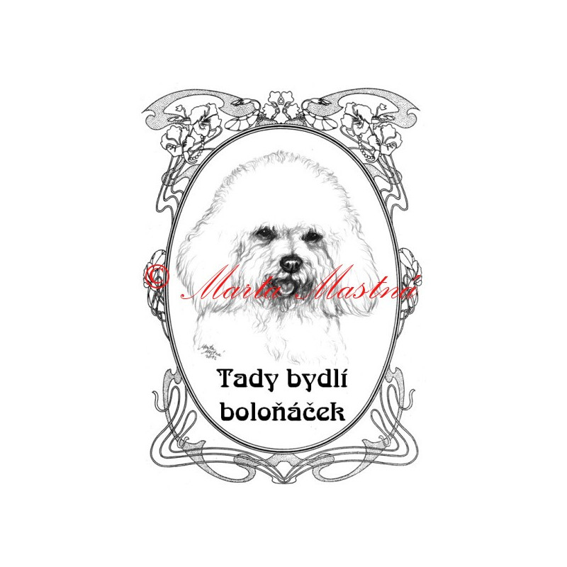 Tabulka boloňský psík