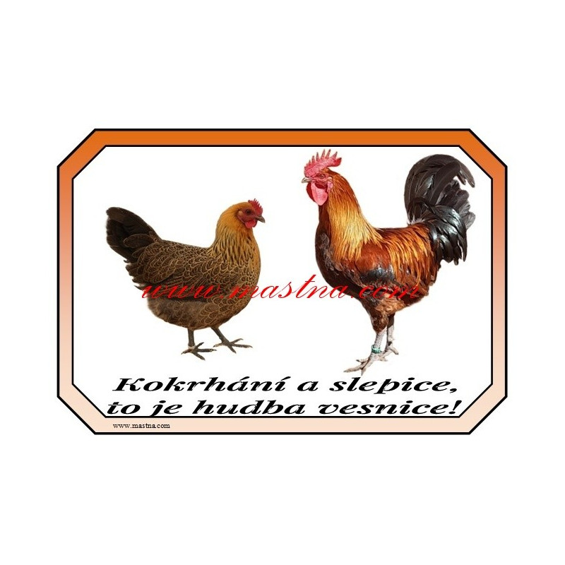 Cedulka drůbež slepice, kohout, česká zlatá kropenka