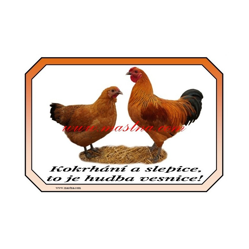 Cedulka drůbež slepice, kohout, šumavanka, šumavská