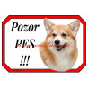 Cedulka velškorgi pembrok, welshcorgi